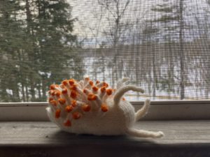 a small crochet nudibranch